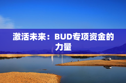 激活未来：BUD专项资金的力量