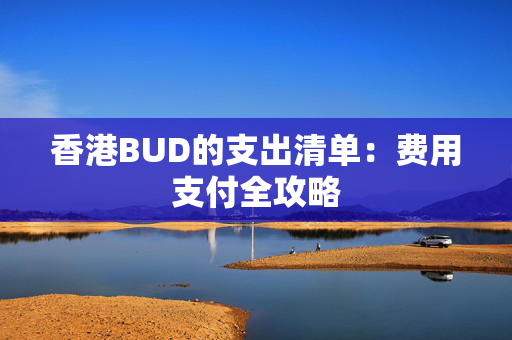 香港BUD的支出清单：费用支付全攻略