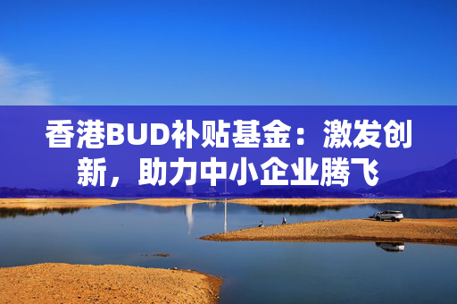 香港BUD补贴基金：激发创新，助力中小企业腾飞 香港企业补贴