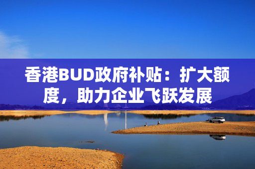 香港BUD政府补贴：扩大额度，助力企业飞跃发展