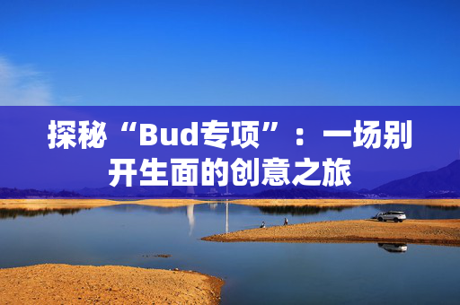 探秘“Bud专项”：一场别开生面的创意之旅