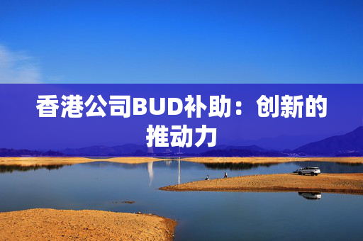 香港公司BUD补助：创新的推动力