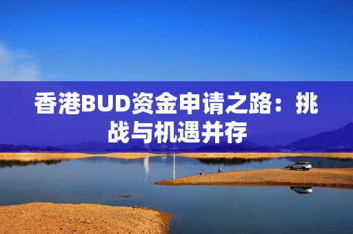 香港BUD资金申请之路：挑战与机遇并存