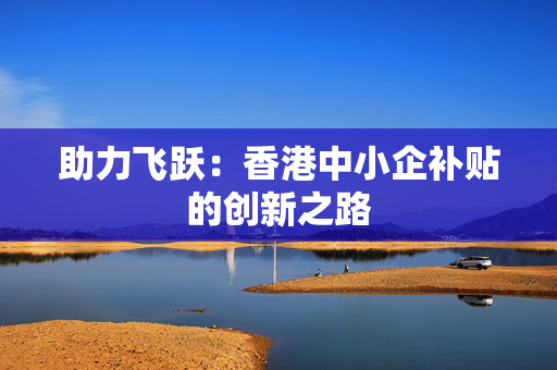 助力飞跃：香港中小企补贴的创新之路