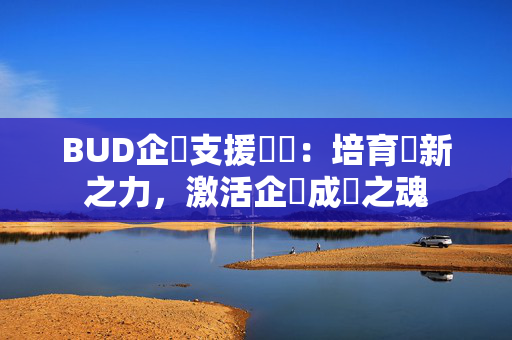 BUD企業支援計劃：培育創新之力，激活企業成長之魂