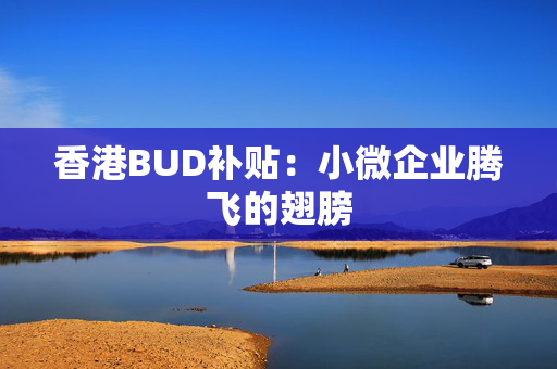 香港BUD补贴：小微企业腾飞的翅膀