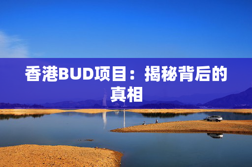 香港BUD项目：揭秘背后的真相