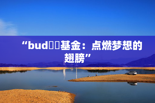 “bud專項基金：点燃梦想的翅膀”