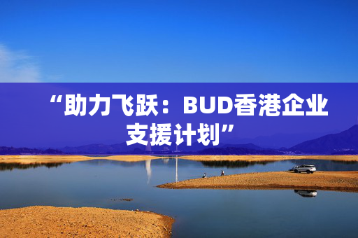 “助力飞跃：BUD香港企业支援计划”