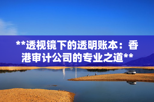 **透视镜下的透明账本：香港审计公司的专业之道**
