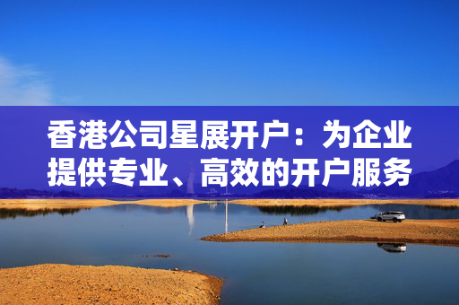 香港公司星展开户：为企业提供专业、高效的开户服务