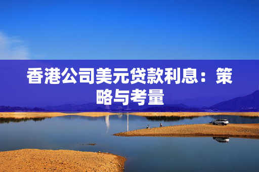 香港公司美元贷款利息：策略与考量
