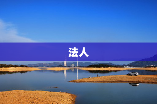 法人